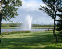 每日經歷神：活水