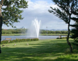 每日經歷神：活水