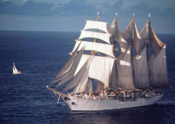 每日經歷神:在不可能中仍然信實