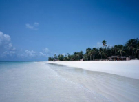 每日經歷神：忠誠的記念