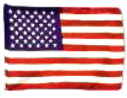 八成美國人感到社會道德每況愈下