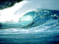 每日經歷神：先信靠神