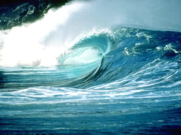 每日經歷神：先信靠神