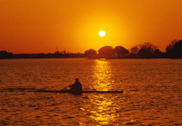 每日經歷神：神的朋友