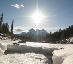 每日經歷神：至於我和我家