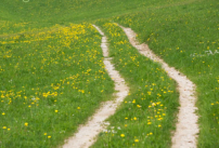 每日經歷神:挪亞與神同行