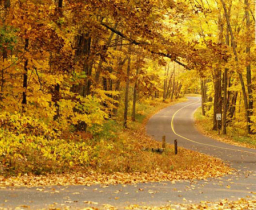 每日經歷神:一條看似正路的路