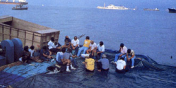 Open Doors「珍珠計劃」25週年 百萬聖經重開中國福音之門