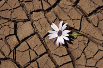 每日經歷神：靈性的饑荒