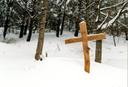 每日經歷神：你的寶藏在哪裏？