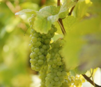 每日經歷神：還有甚麼可做的呢？