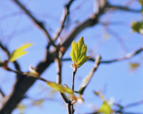 每日經歷神：等候主