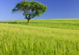 每日經歷神：求山地