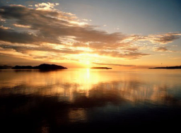 每日經歷神：我們可以仍在罪中嗎？