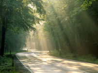 每日經歷神：勝過罪
