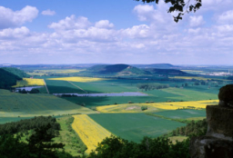 每日經歷神：飢渴慕義