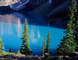 每日經歷神：溫柔的人