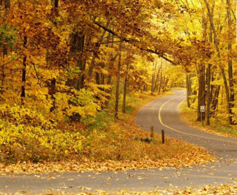 每日經歷神：一步步得勝利