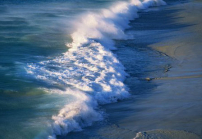 每日經歷神：打開門與反對勢力