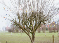 每日經歷神：動 機