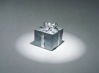 每日經歷神：白白捨去