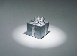 每日經歷神：白白捨去