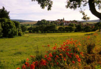 每日經歷神：不要迷失在人群中