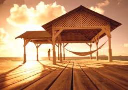 每日經歷神：神的榮光