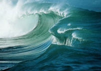 每日經歷神：痛苦的提醒