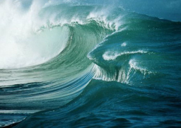 每日經歷神：痛苦的提醒