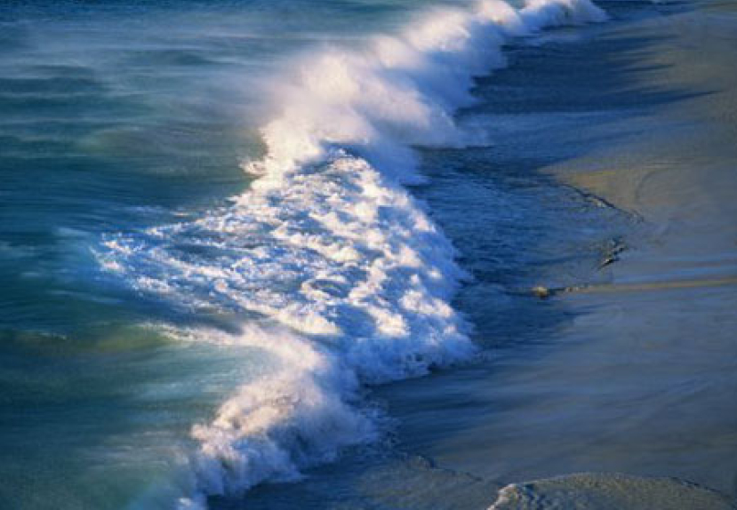 每日經歷神：相信神的智慧