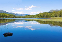 每日經歷神：灰 心