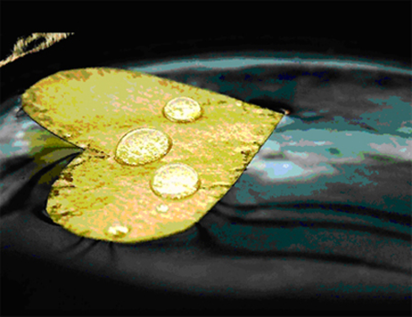 每日經歷神：預備敬拜