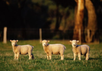 每日經歷神：第二次