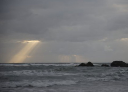 每日經歷神：神藉著祂的作為說話