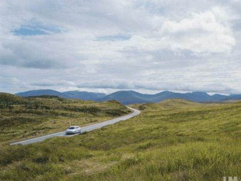 每日經歷神：堅定你的決心