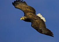 每日經歷神：新的力量