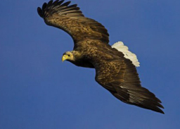 每日經歷神：新的力量