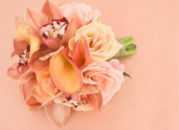 每日經歷神：感 恩