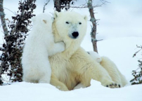 每日經歷神：負責任