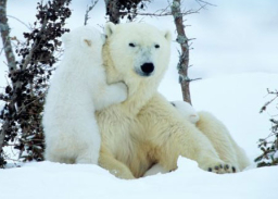 每日經歷神：負責任
