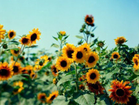 每日經歷神：神與你同在