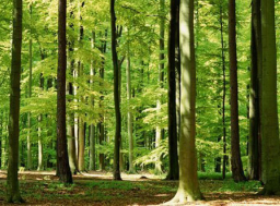 《市井聖徒》：他人身上的神蹟