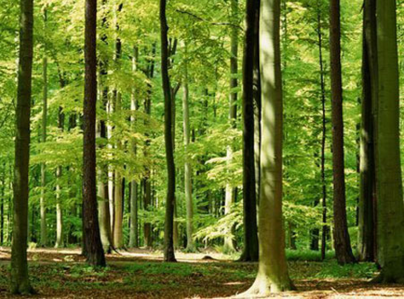 《市井聖徒》：他人身上的神蹟