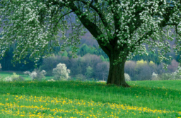 《市井聖徒》：生命卻步時