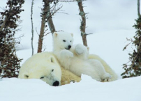 《市井聖徒》：神眼前的牆垣