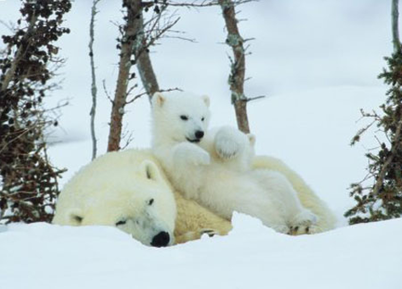 《市井聖徒》：神眼前的牆垣