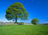 《市井聖徒》：安歇與甦醒