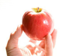 《市井聖徒》：生命的事奉