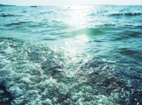 《市井聖徒》：市井之光